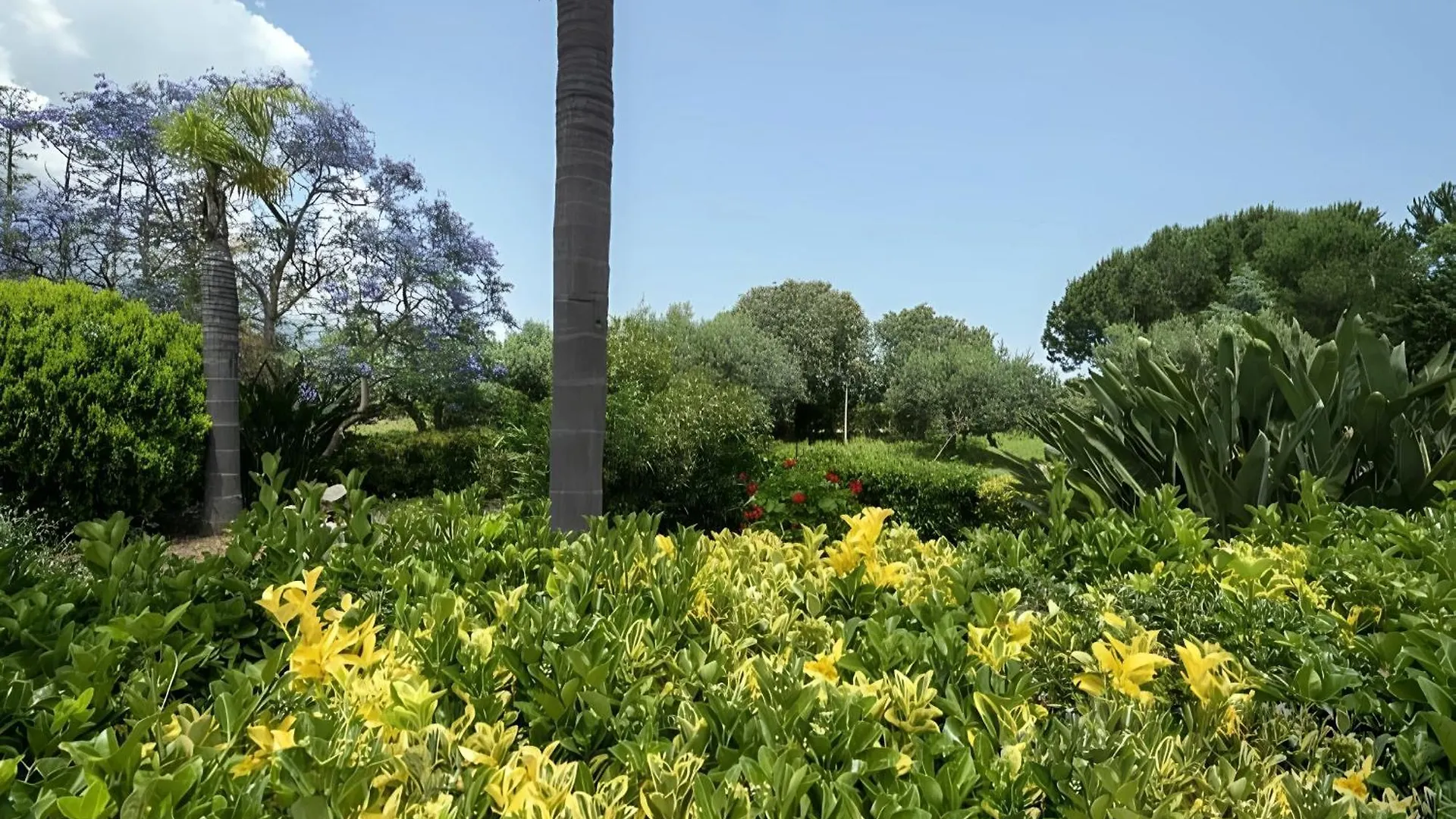 Villa Viola E Giulio Scopello  0*, Scopello (Sicily) Italia